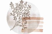 火线：海角网址入口价值解码：61招《真相》