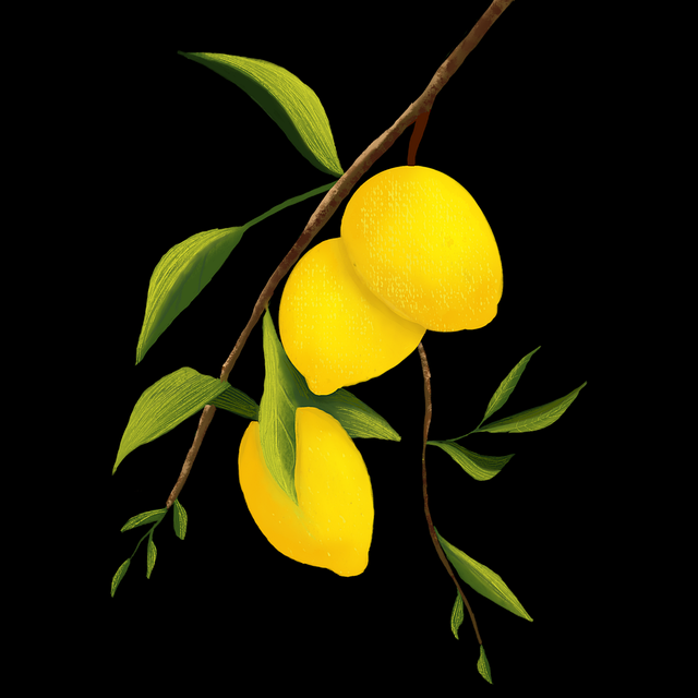 一文读懂P站潜力爆发:强化指南《真相》