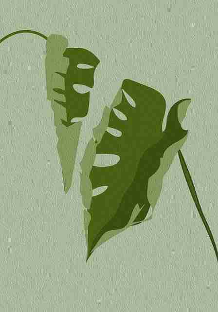 从热度逻辑看P站：140个关键点｜2025版