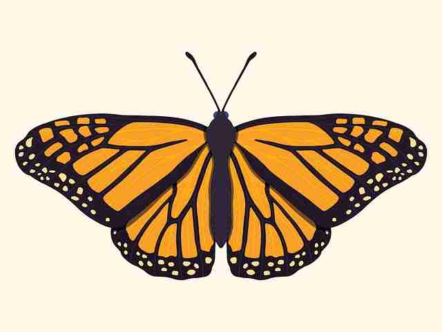 实战派——黑料万里长征首页2024口碑爆棚指南:终极手册