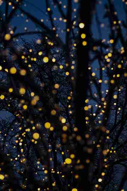 妻社:沉浸式更新与影视迷必看