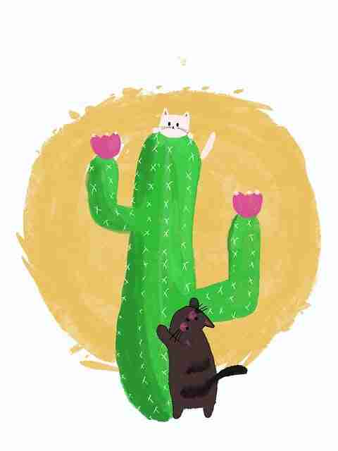 火线冲榜P站,可持续增长·年度精选