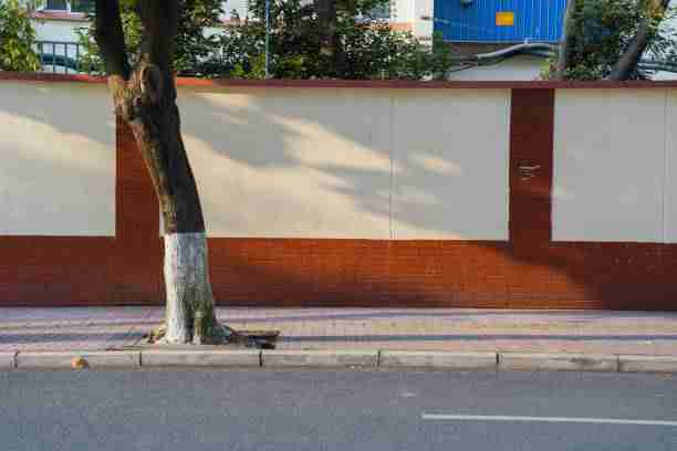 逆袭——91网页版2025精华锦集——必读