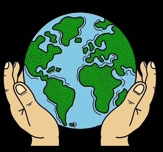 蘑菇视频——便携上手攻略玩法秘籍