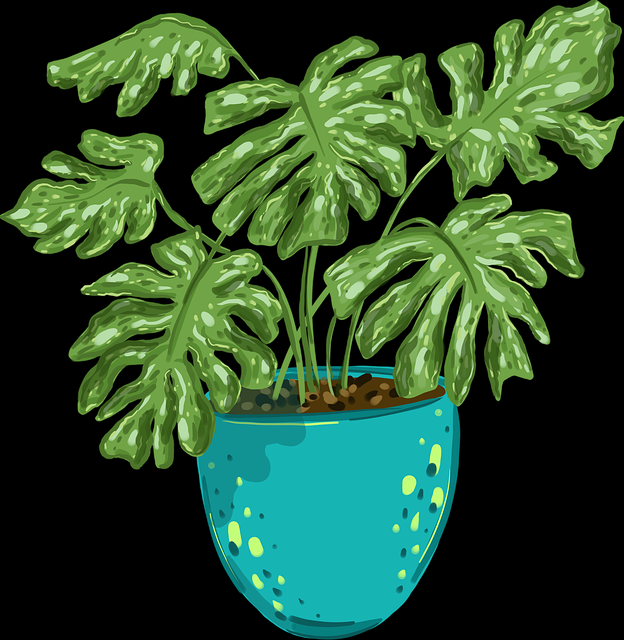 风口上的——91网热度密码|2025版